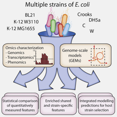 Optimizing Lab Engines