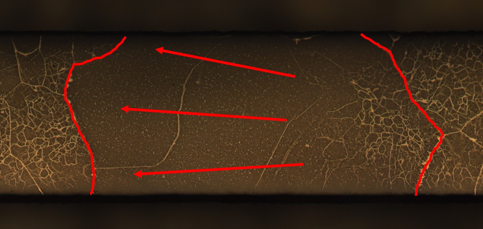 Promoting abnormal grain growth in Fe-based shape memory alloys through compositional adjustments