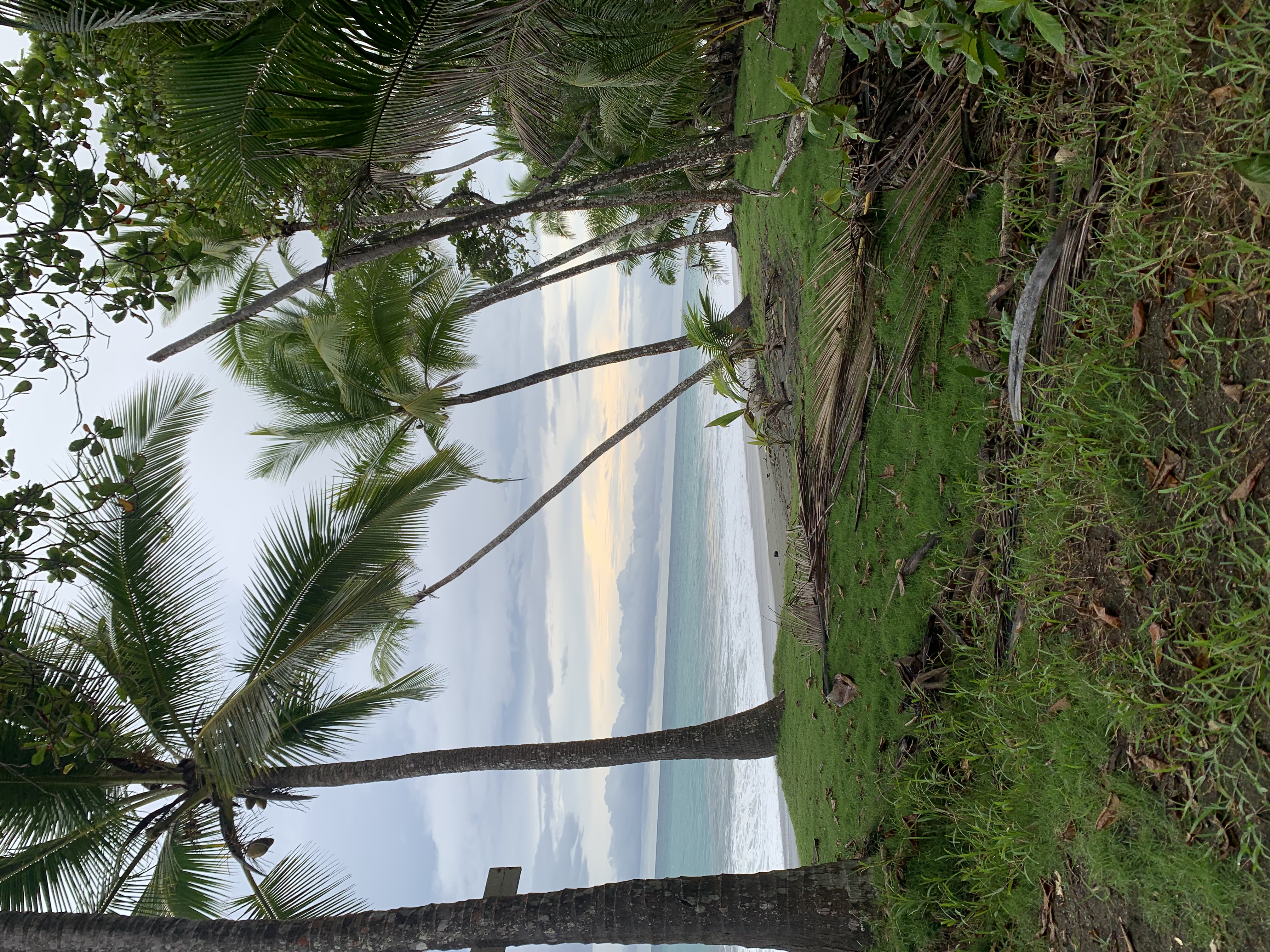 Pura Vida, Pure Lessons