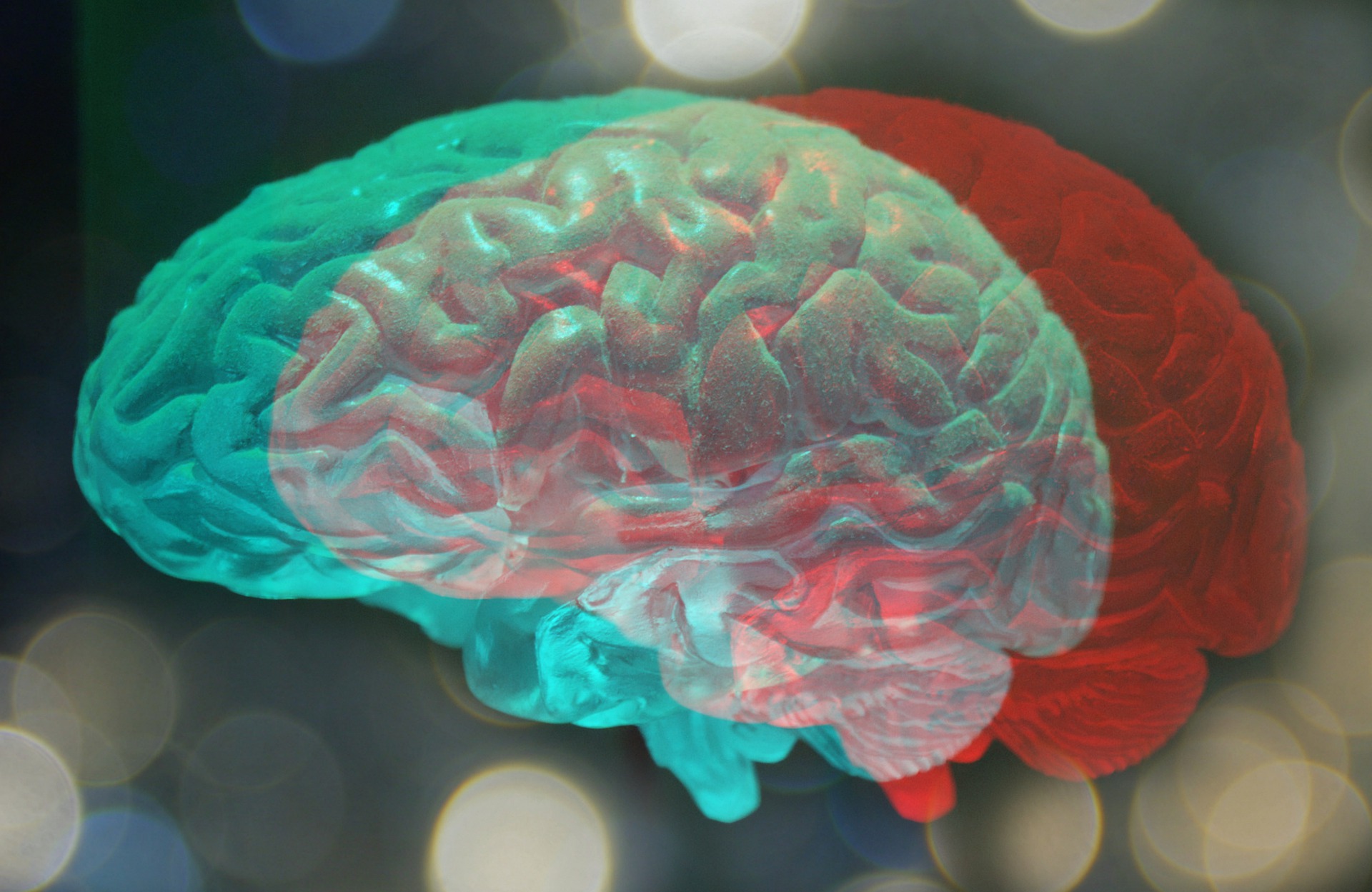 The brain within the brain