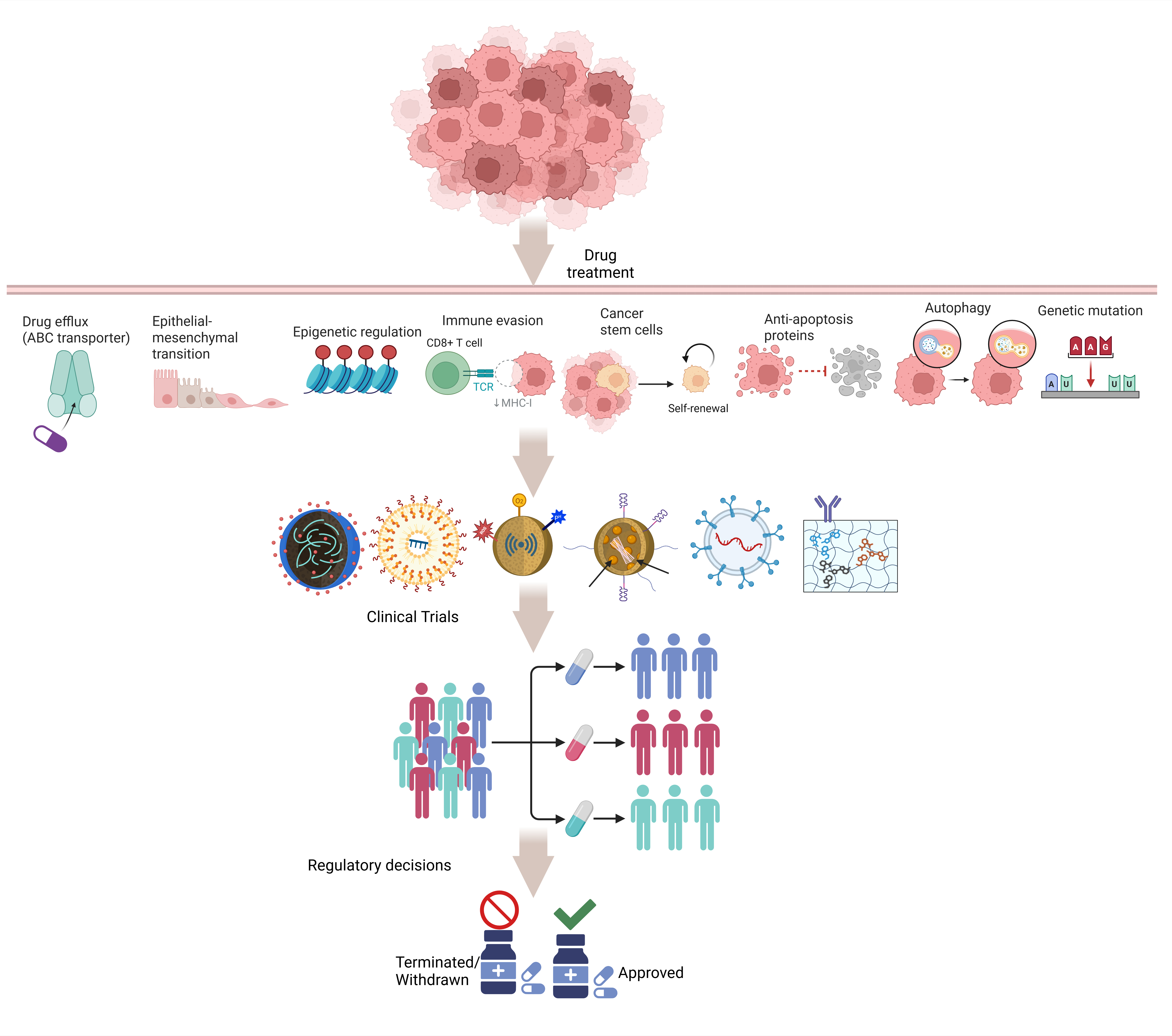 Why promising cancer treatments fall short: connecting resistance biology, clinical trials, and withdrawn therapies
