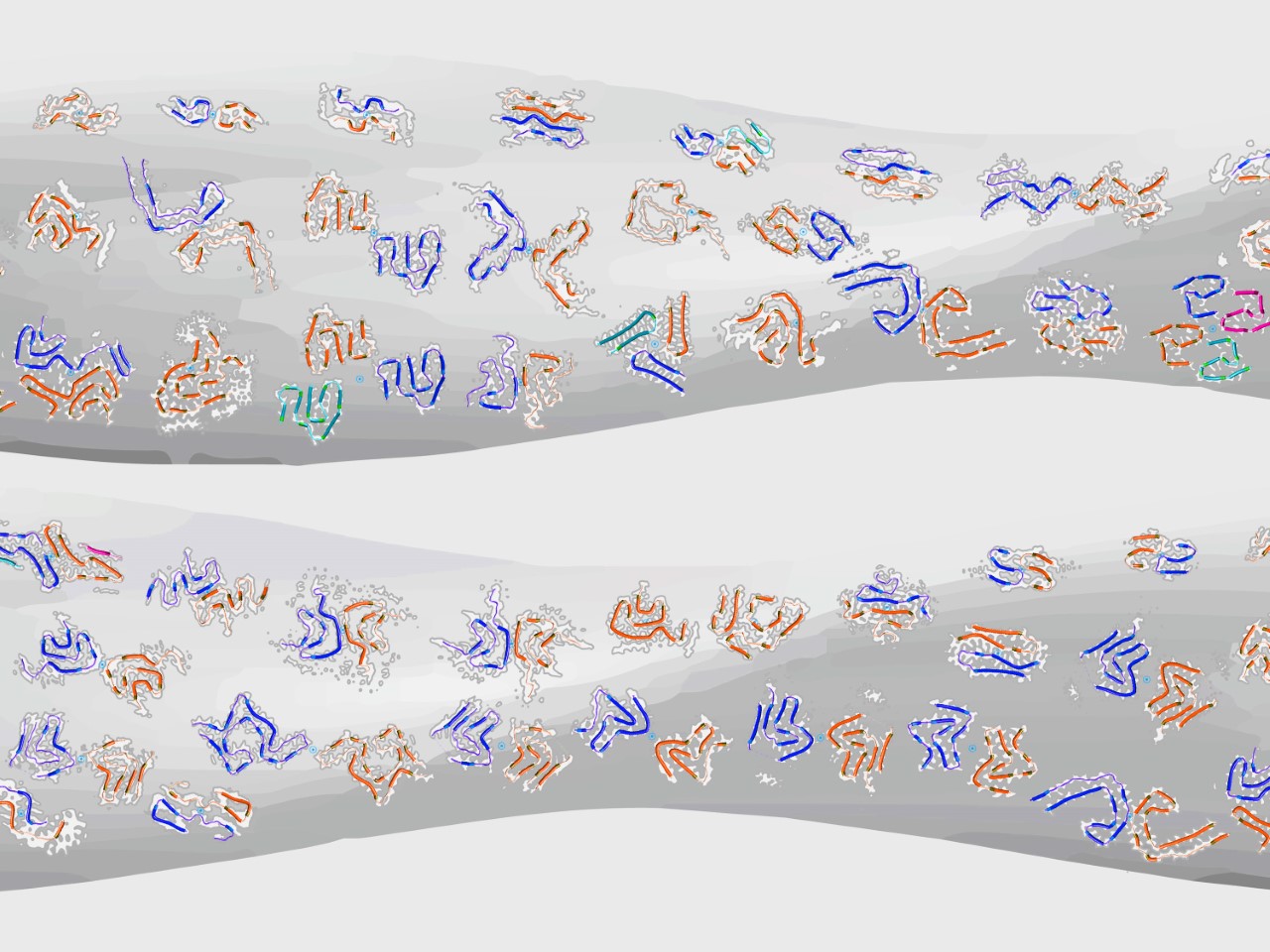 Structural analysis of functionally diverse and structurally polymorphic amyloid assemblies