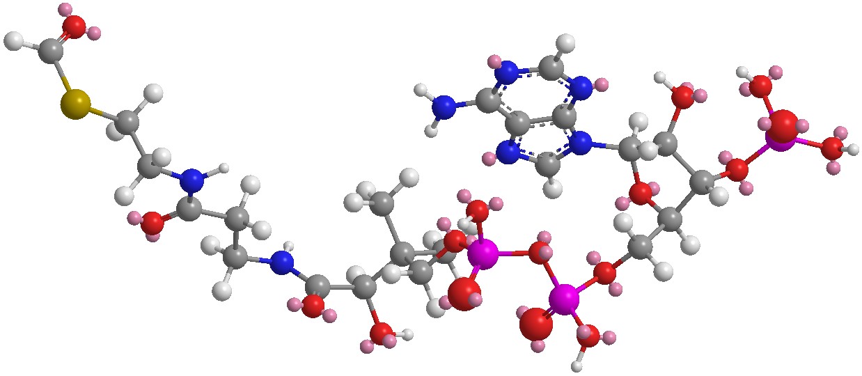 Familiar coenzyme in unfamiliar role: The use of formyl-CoA in C1 anabolism