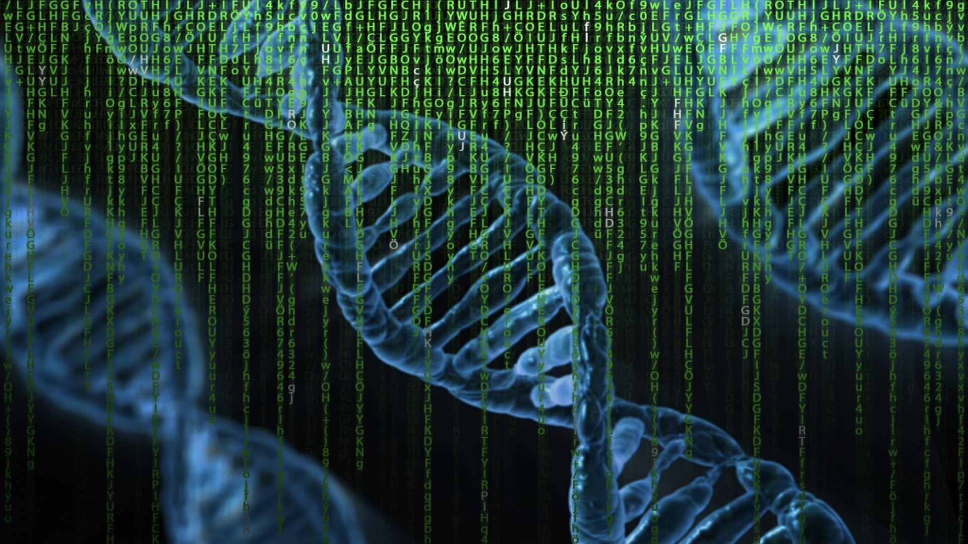 Genes not the only factor in maths matters