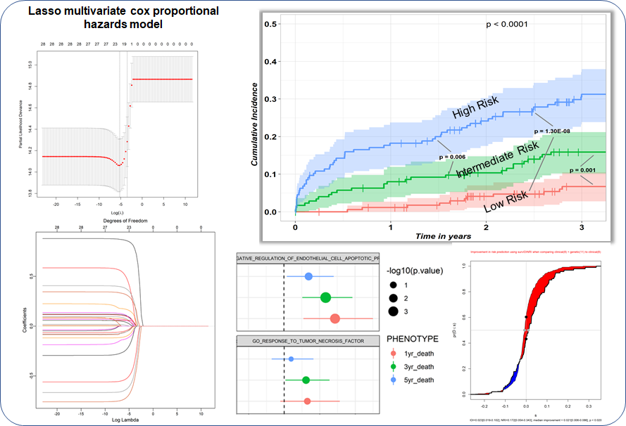 Generating Polygenic Risk Scores from Gene Sets: Why & How