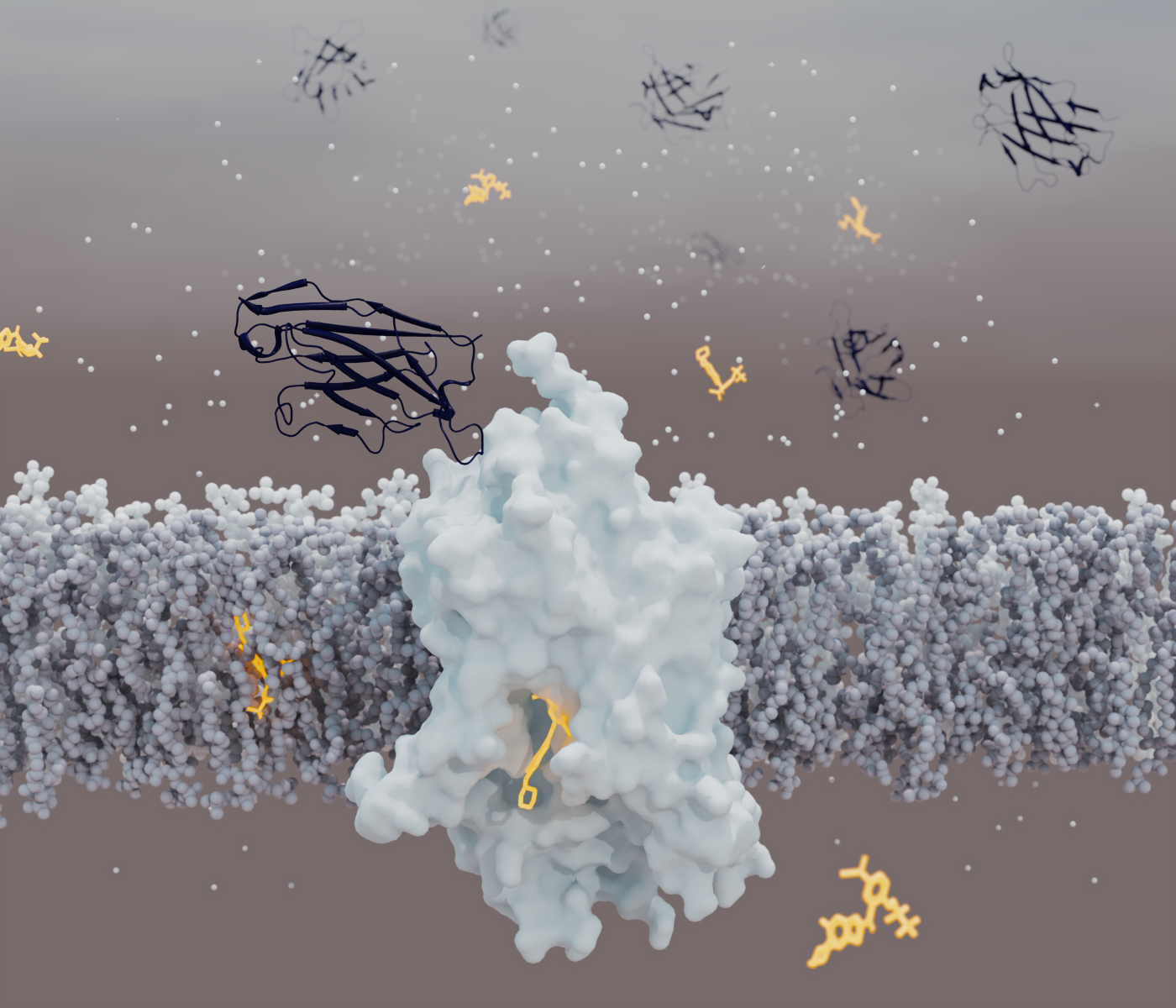 Taming a neurotransmitter transporter