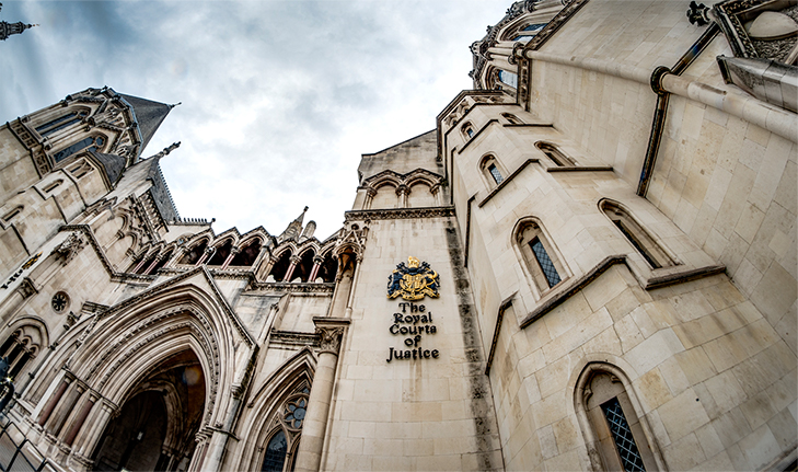 Leadership in Action Project: Filling the gap in the Justice system