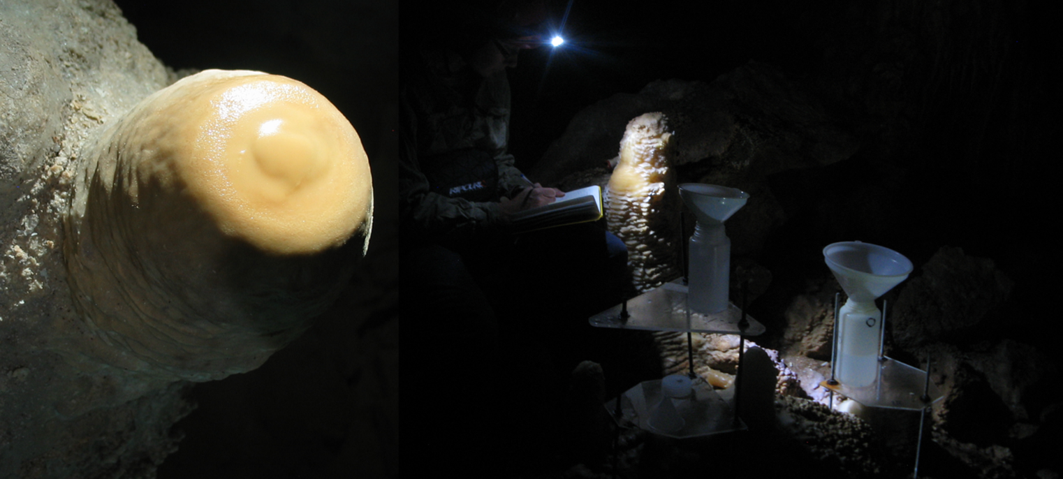 Caves provide early warning of unprecedented decrease in rainfall recharge of groundwater