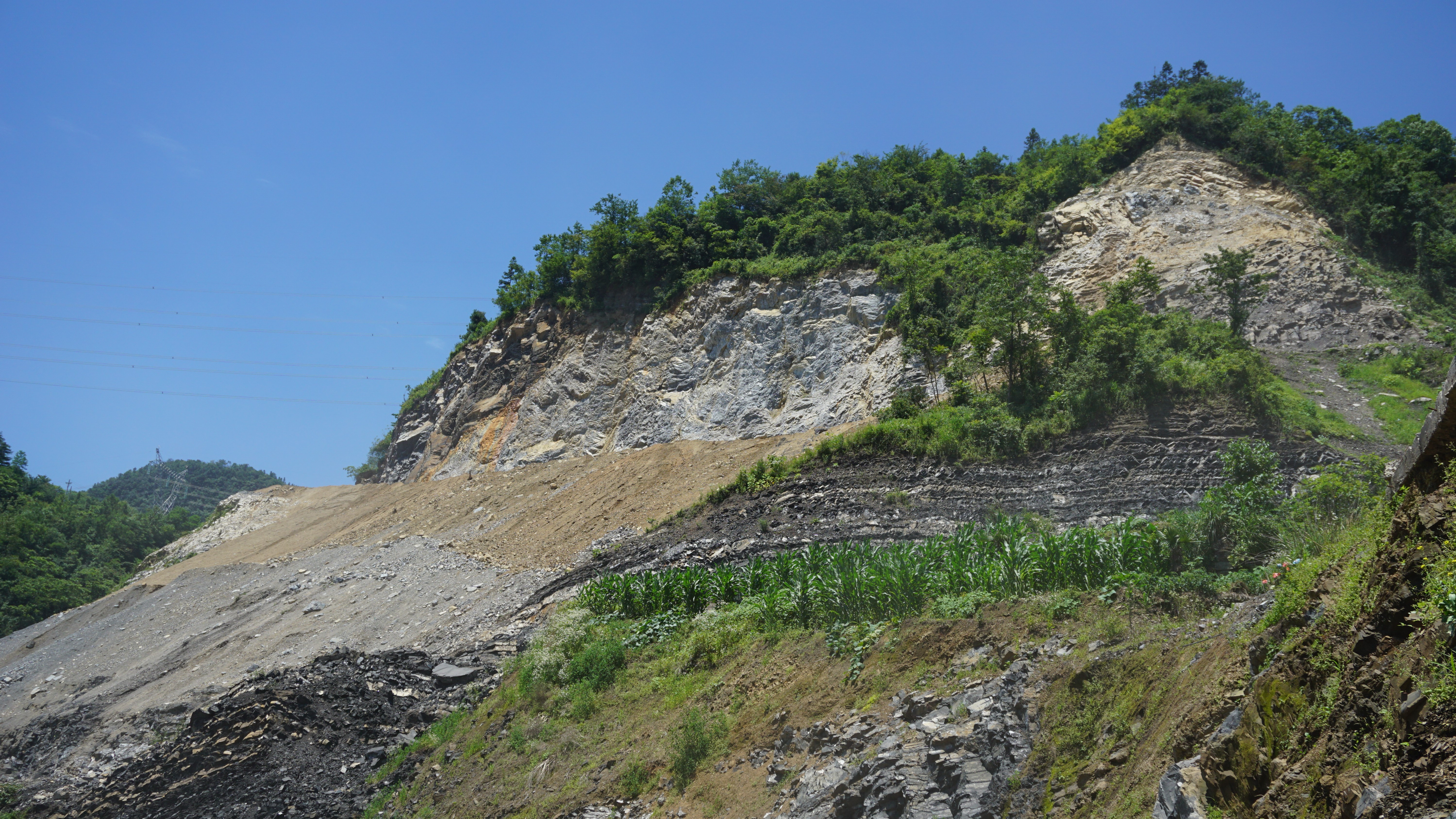 Clay mineral evidence for restricted, evaporitic environments and reverse weathering