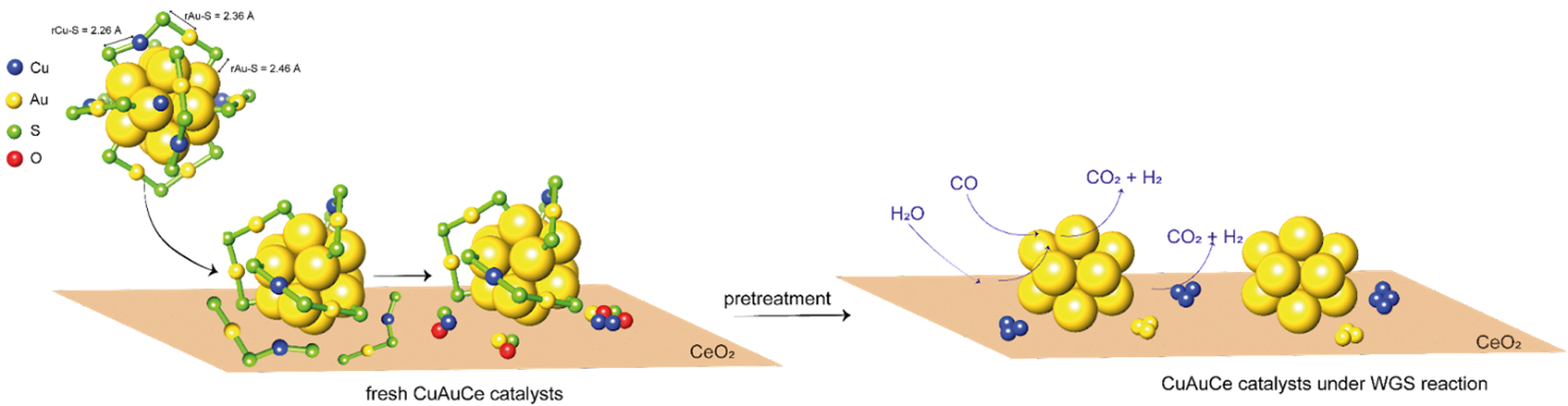 Unveiling the Dance of Atoms: The Intricate Dynamics of Gold Nanoclusters in Catalysis