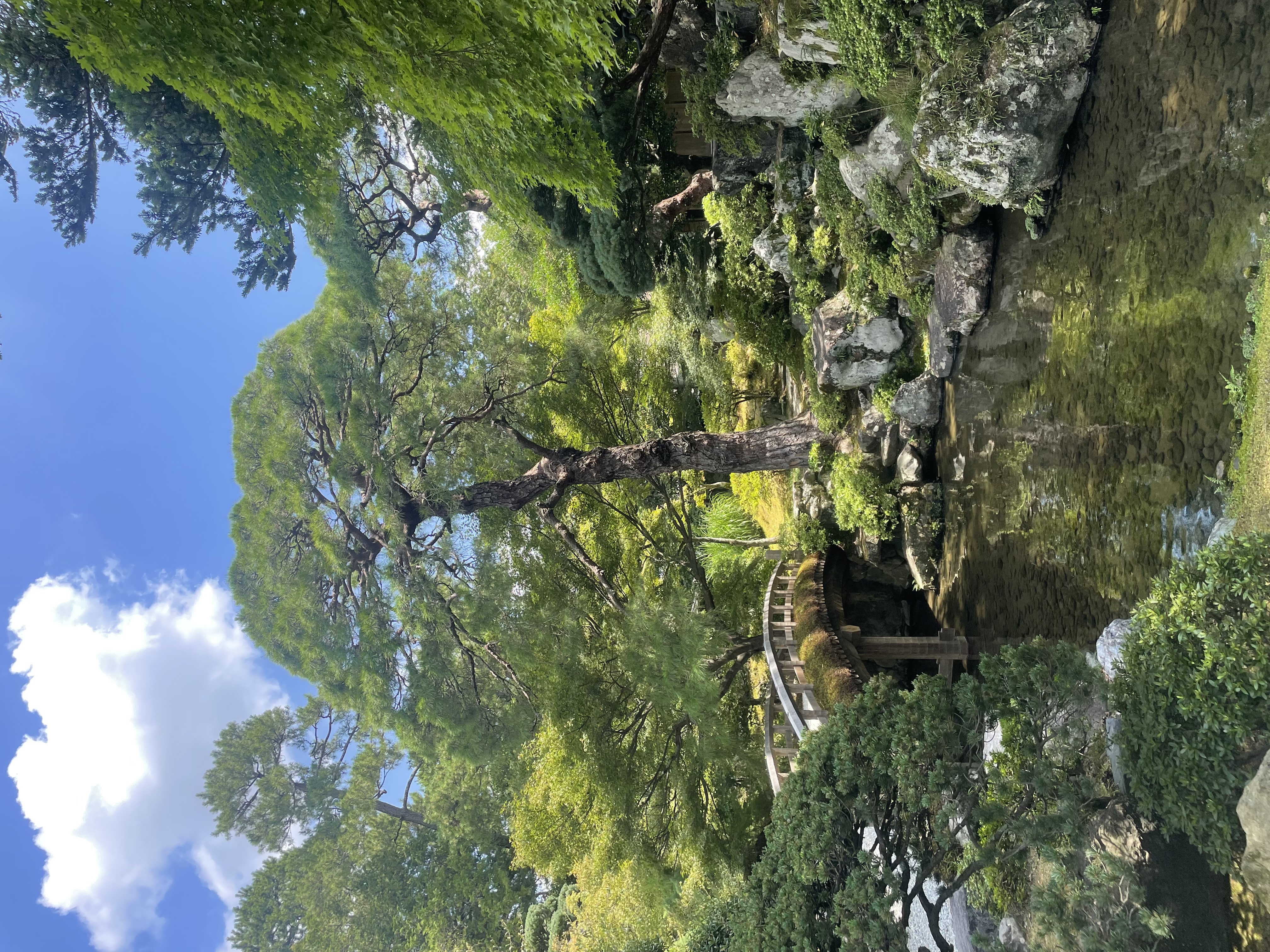 Experience Abroad Reflection