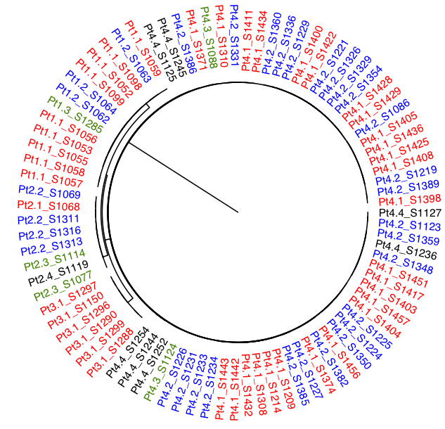 HIV DNA genome diversity and its longitudinal dynamics