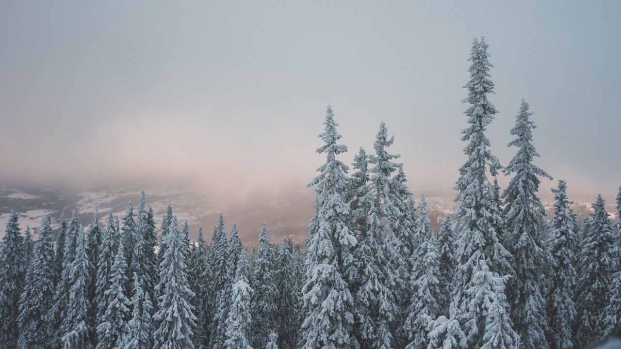 Happy Holidays From The Certification Office!