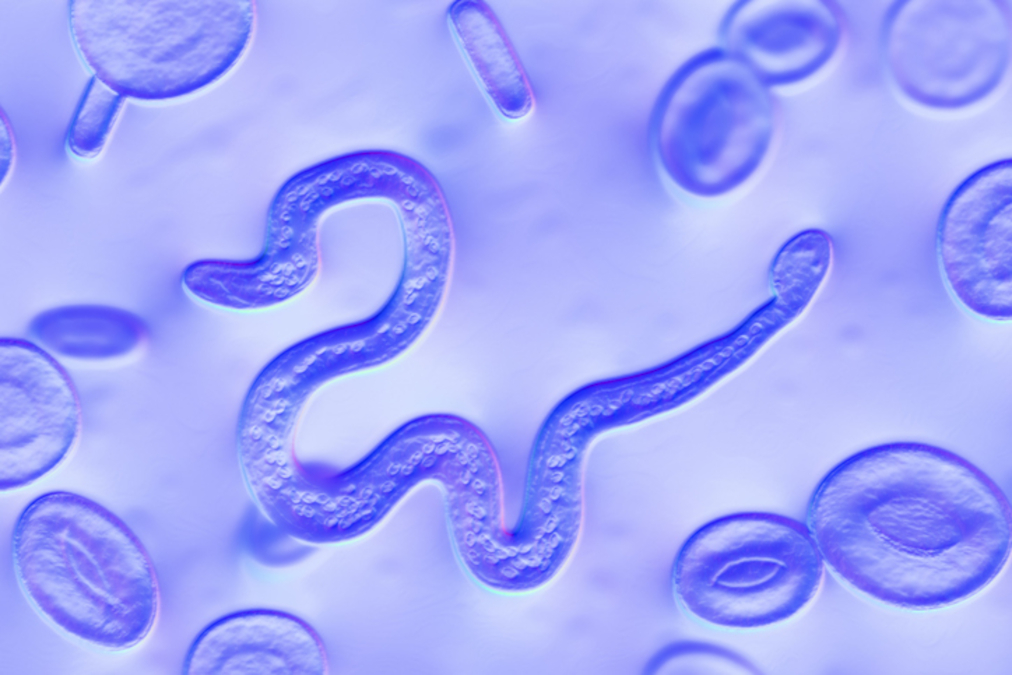  Biomedicine Collections - August/September 2026 Roundup