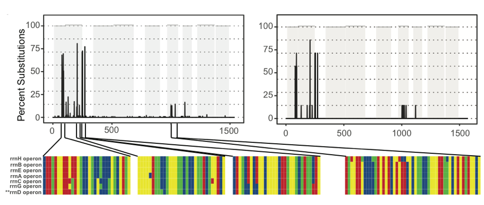 Finding a New Role for 16S rRNA Gene Sequencing in Microbiome Research