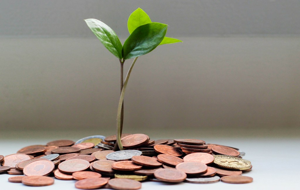 Training: Economics and Finance for Environmental Leadership 