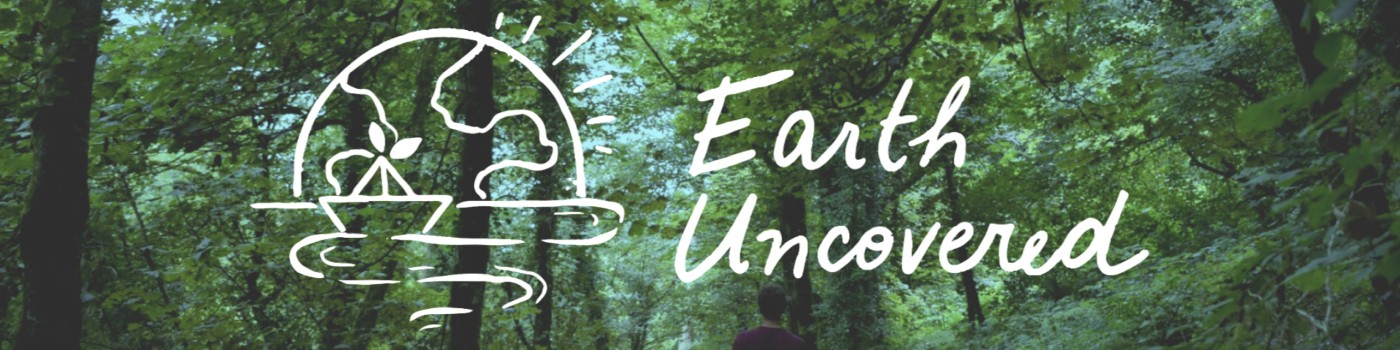 The Hive Podcast; Episode 8 - Conservation Psychology