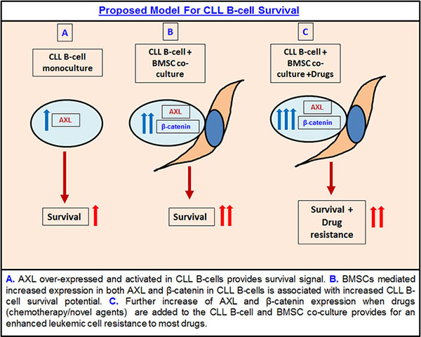 Combating CLL Drug Resistance