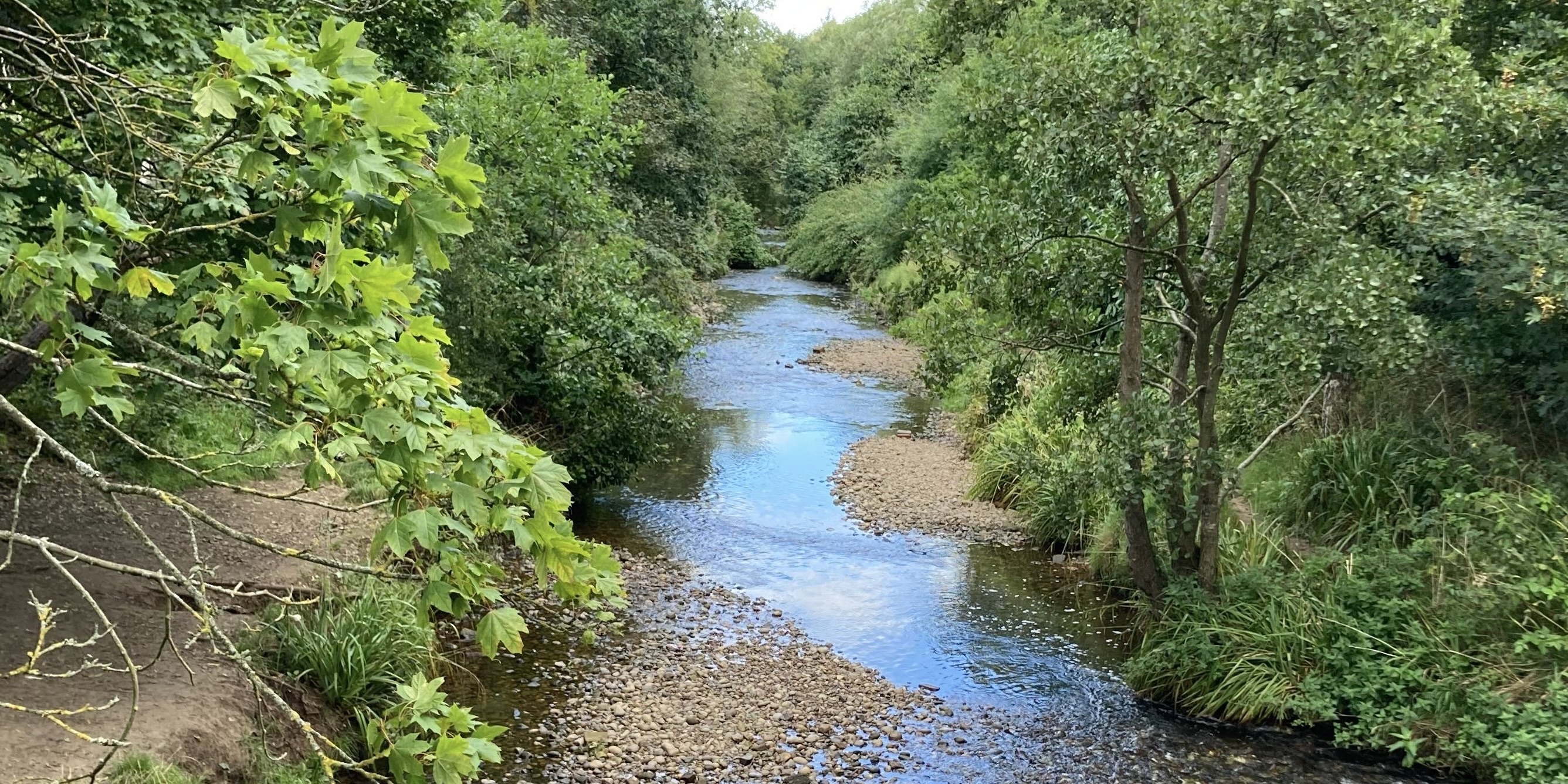 Uncovering the hidden microbial life of river biofilms