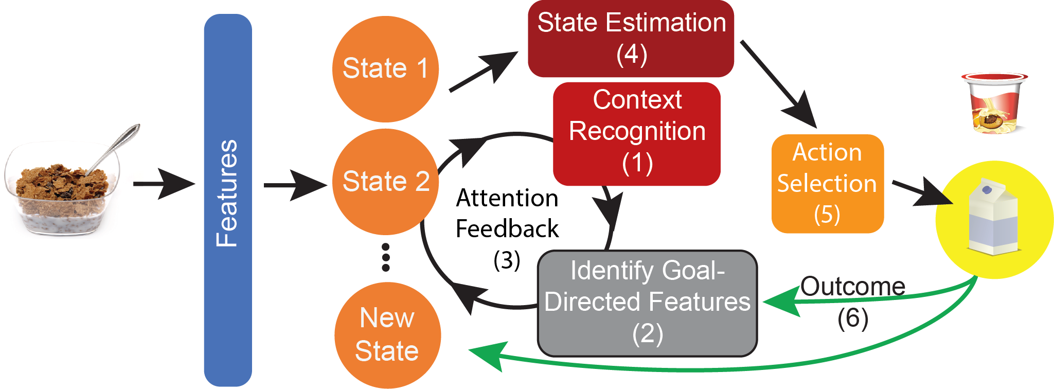 Feature attention during learning and generalization