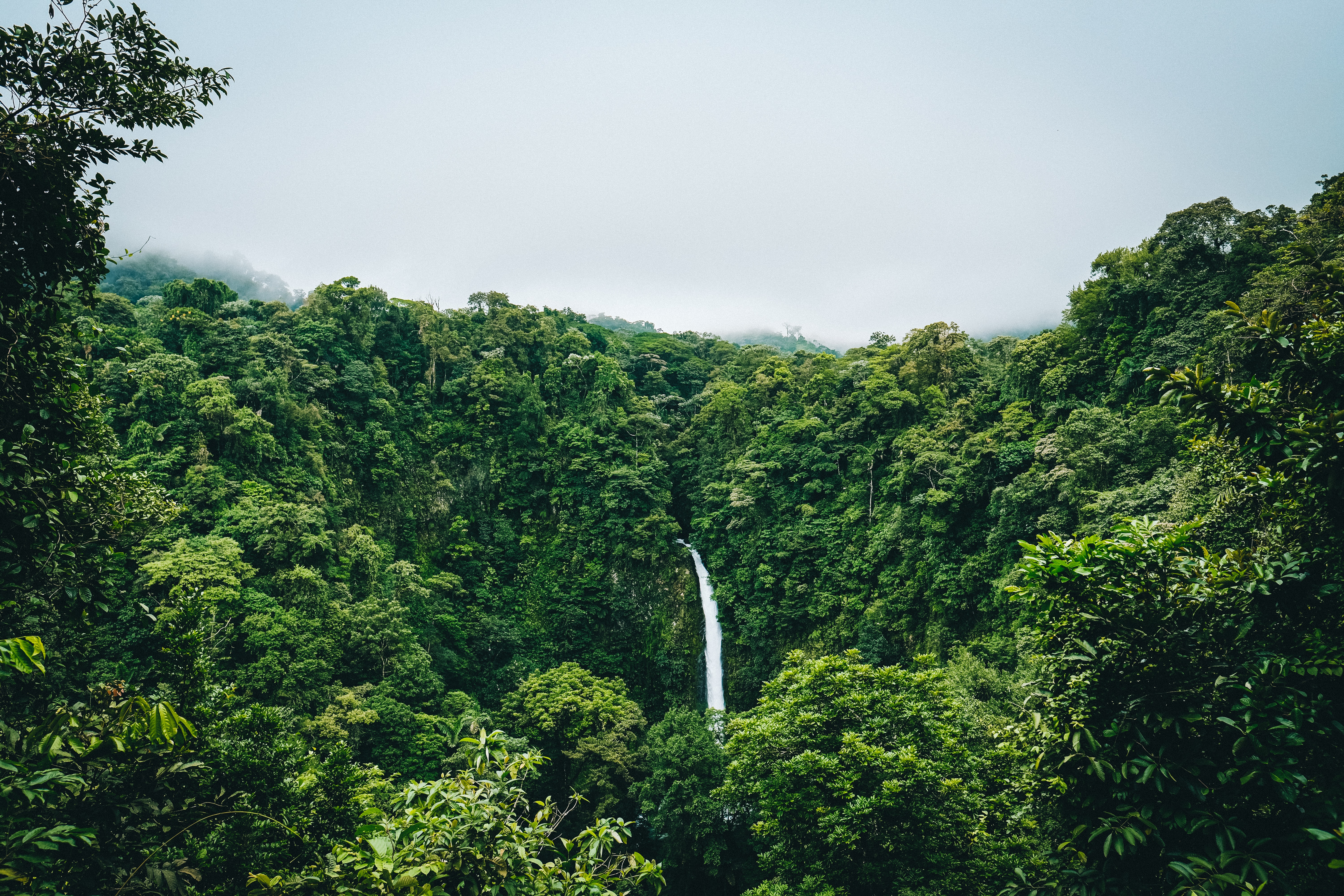 Increasing behavioral science engagement in biodiversity conservation