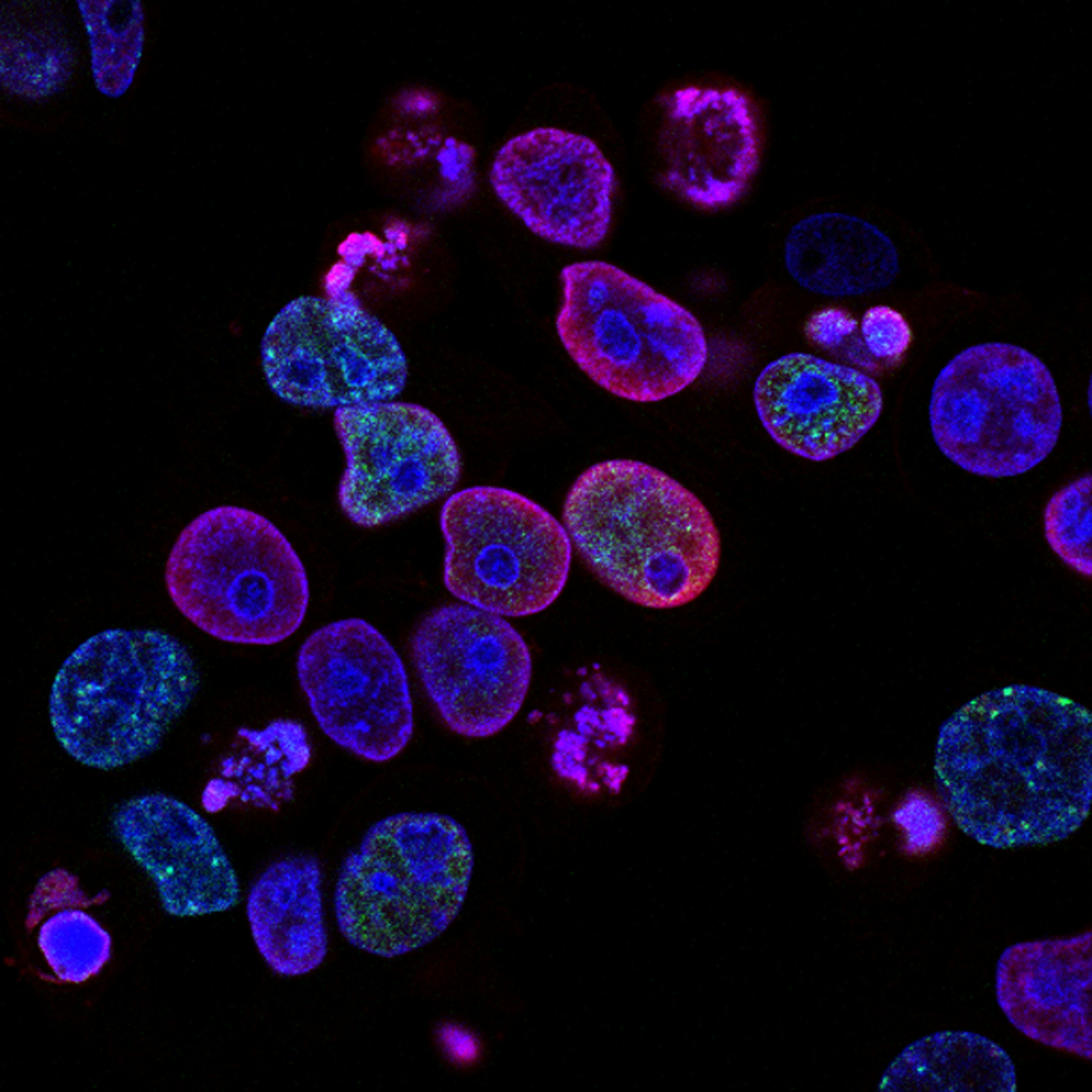 January 2026 Highlights from the Medicine and Life Sciences Research Communities: Cervical Cancer Awareness Month 