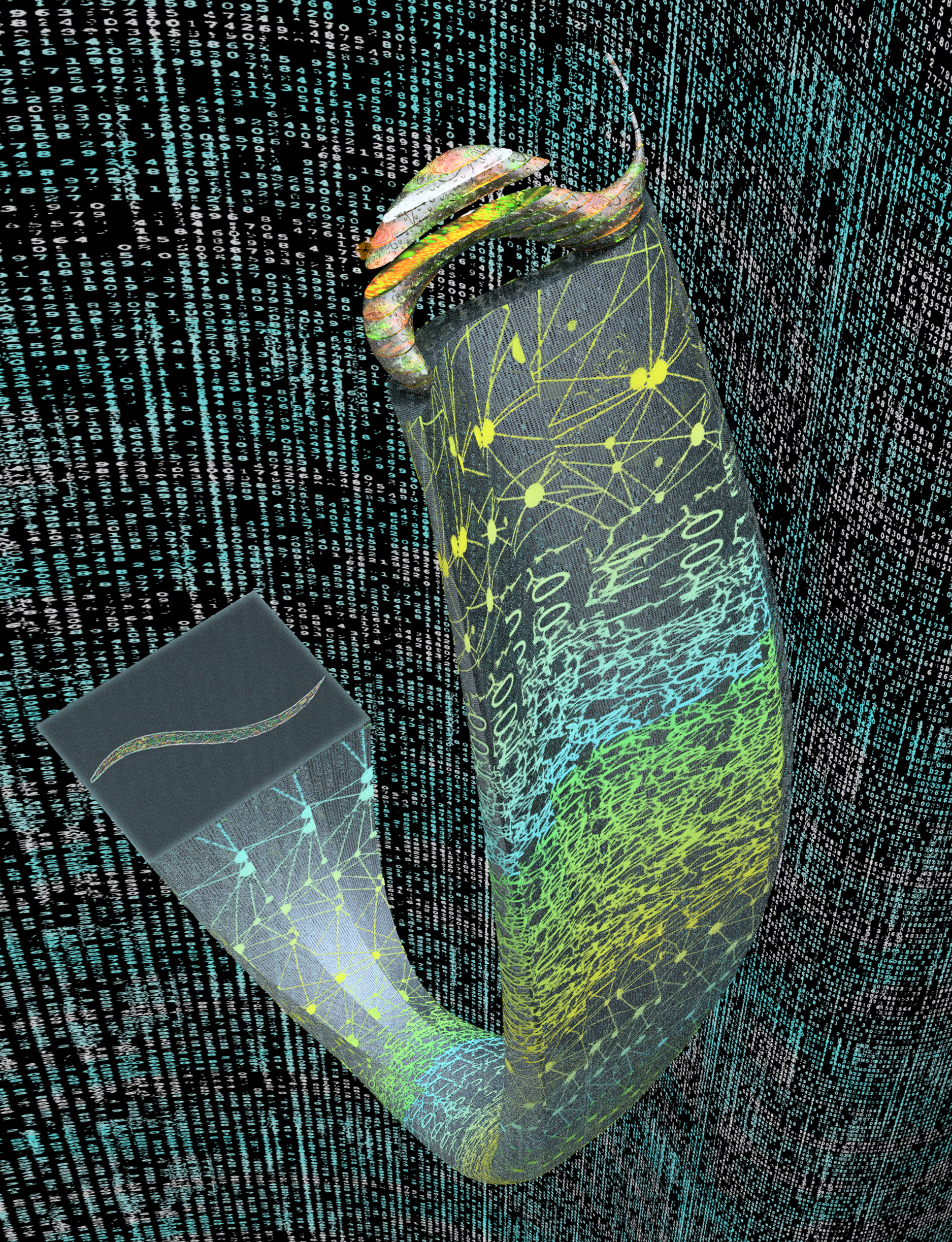 A virtual journey within a fluorescent sample: 3D digital refocusing of fluorescence images using deep learning