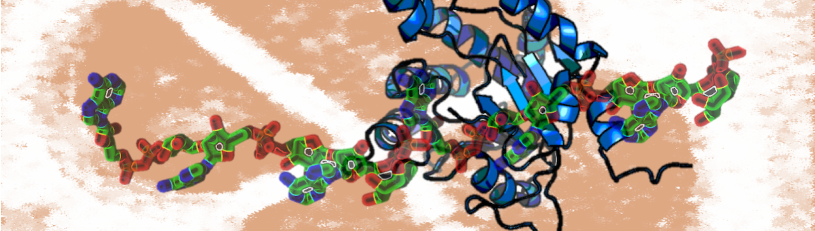 “Micro” Difference on Macro Domain: Discovery of Poly-ADP-ribosylation in Prokaryote