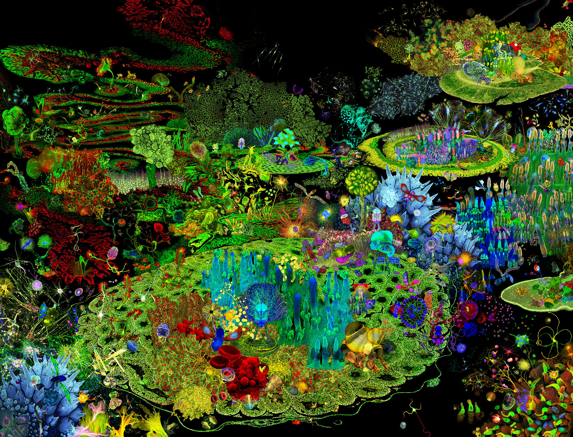 Art and Science break boundaries in The Garden of Earthly Delights