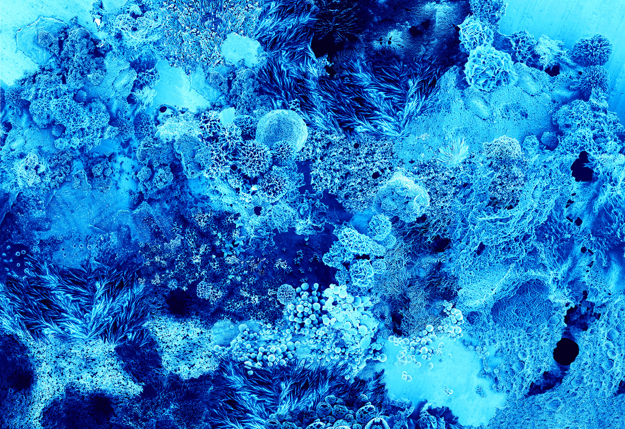 Art and science: two complementary views of the world