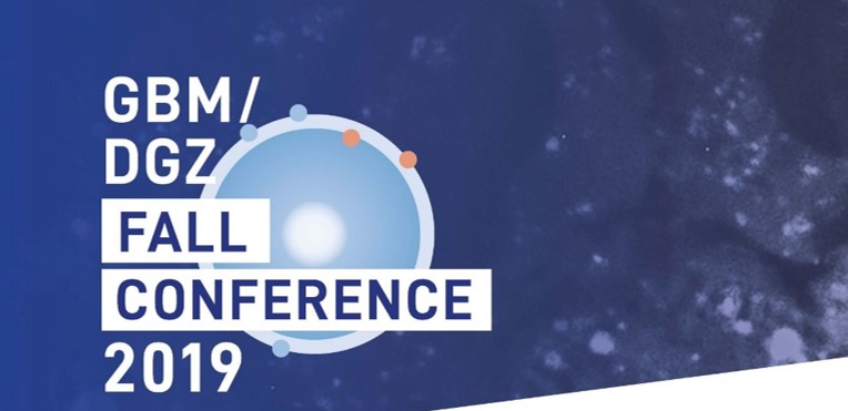 GBM fall conference 2019 – abstract deadline extended!