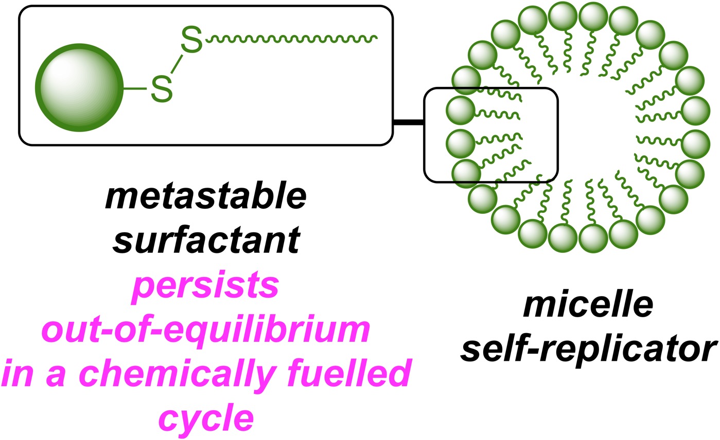A Chemically Fuelled Self-Replicator