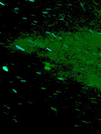 Claim your spot on particles with secondary metabolites