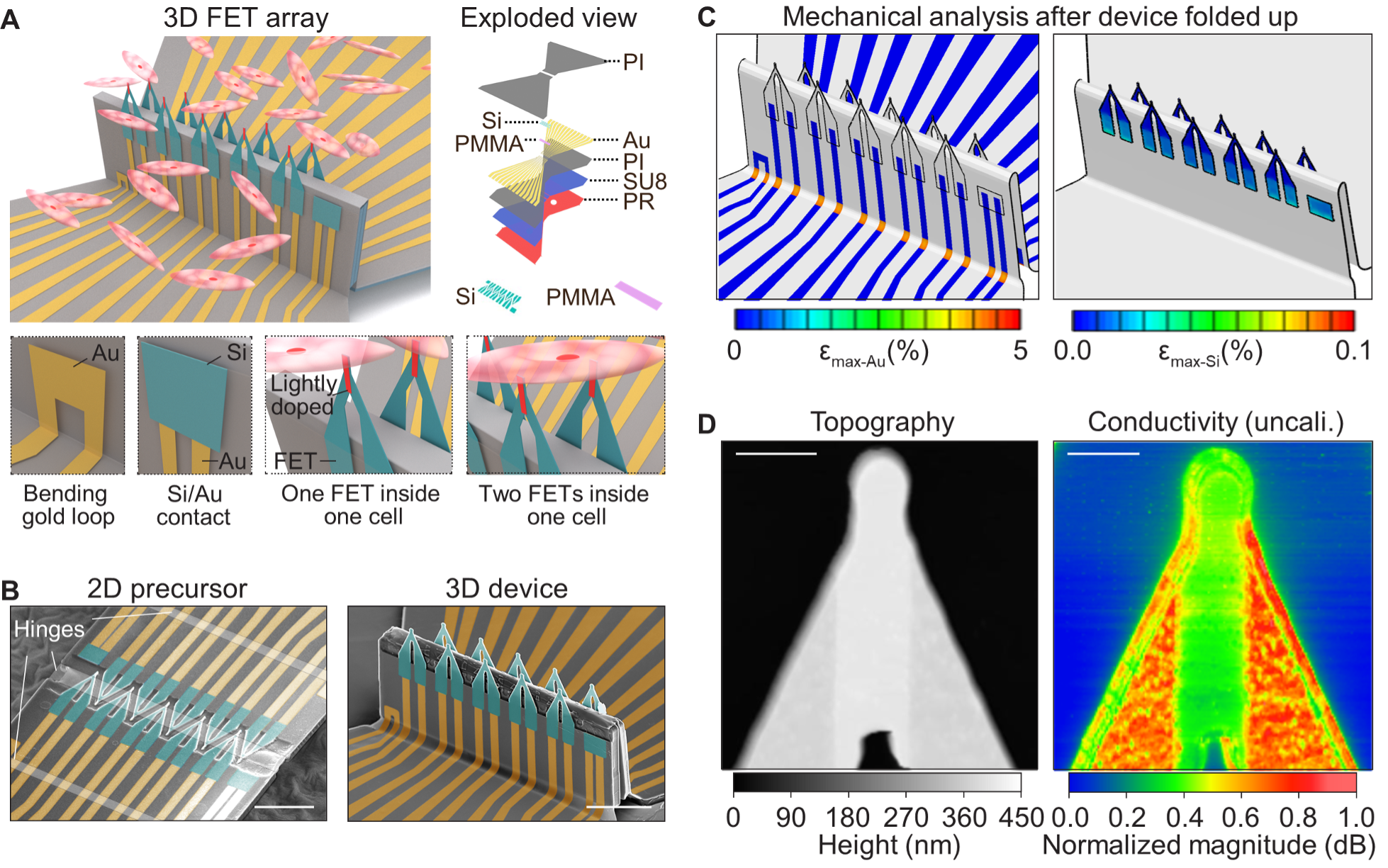 Nat Nano:3D FET for intra/inter-cellular recording