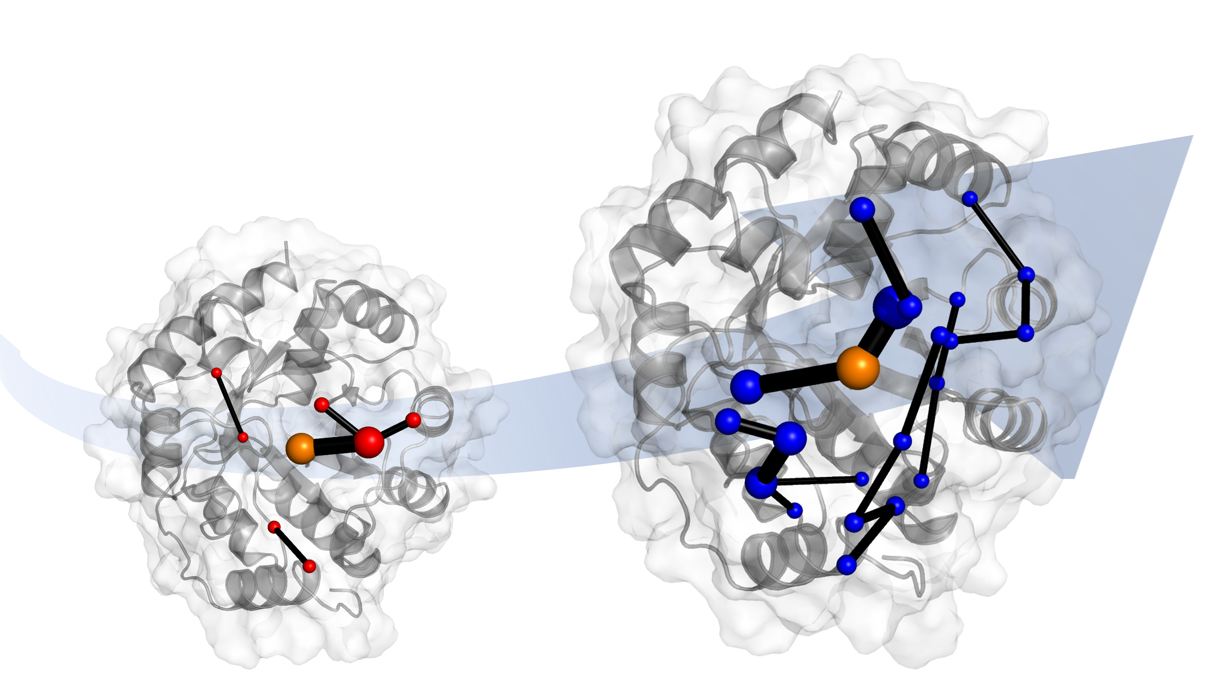 Evolution of protein dynamics gives hints for enzyme design
