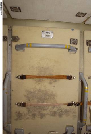 NASA, Alfred P. Sloan Foundation Award Fellowships to Study Space Station Microbes