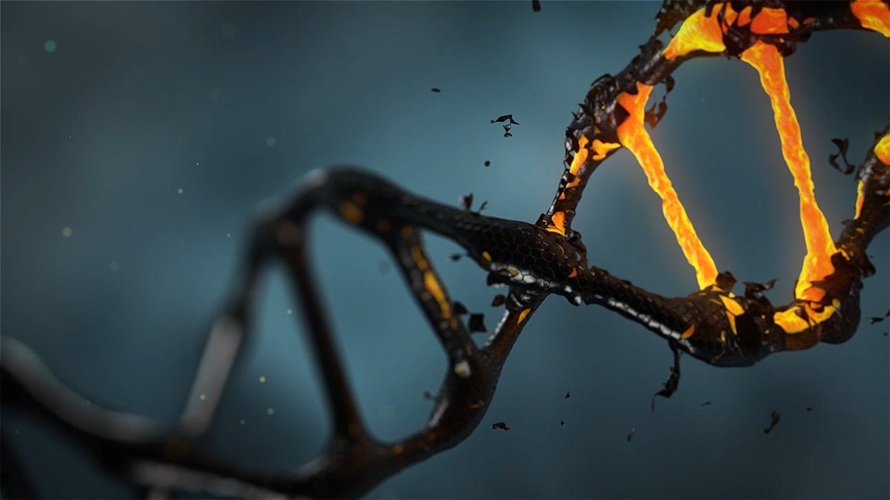 Molecular targets for anti-aging interventions│September 26 – October 1, 2022│Spetses