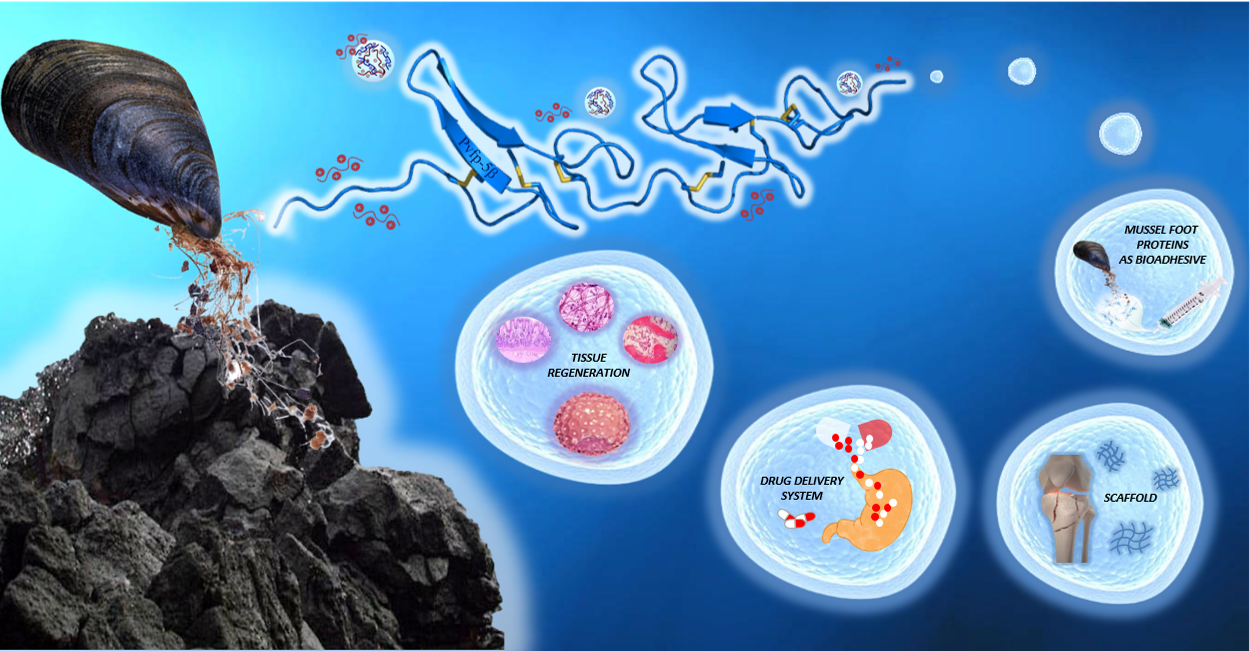 Nature keeps inspiring us