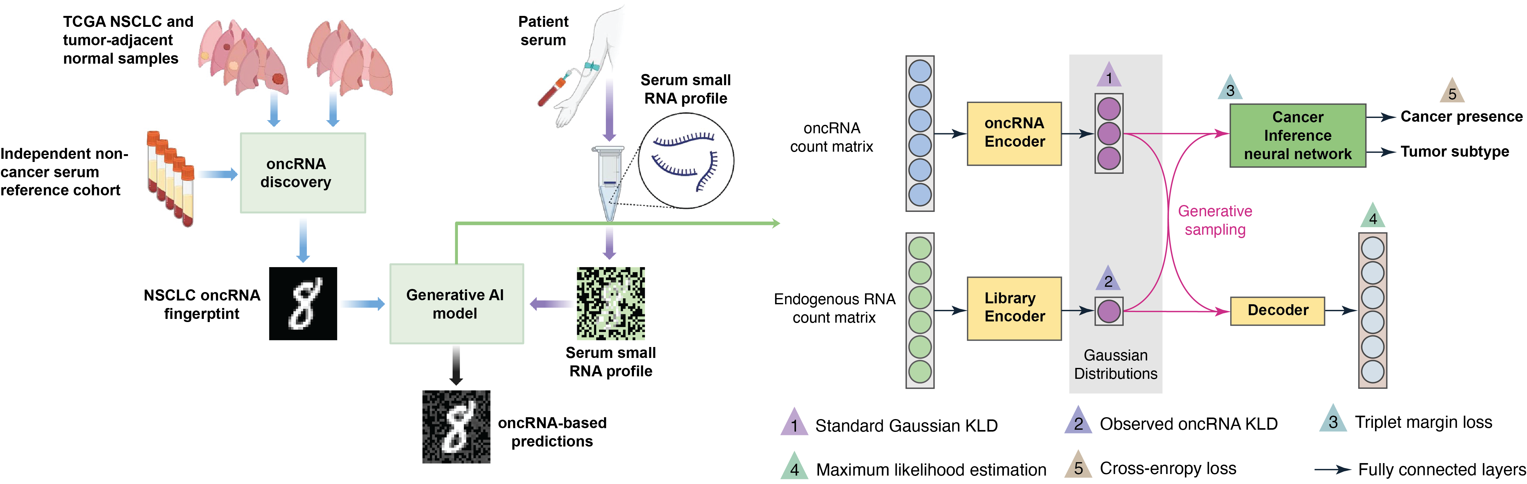 Behind the paper: Deep generative AI models analyzing circulating orphan non-coding RNAs enable detection of early-stage lung cancer