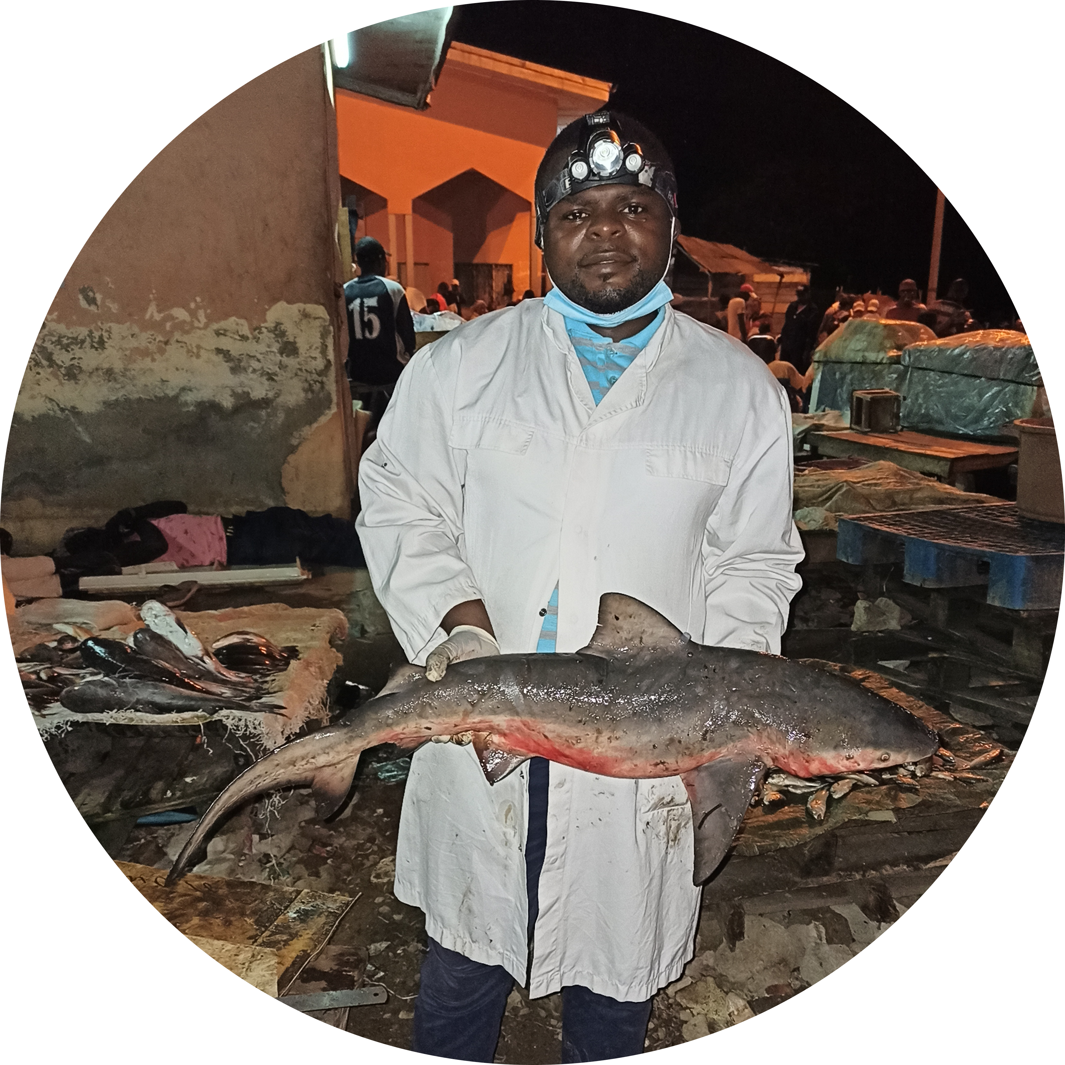 Go to the profile of Alex Tamo