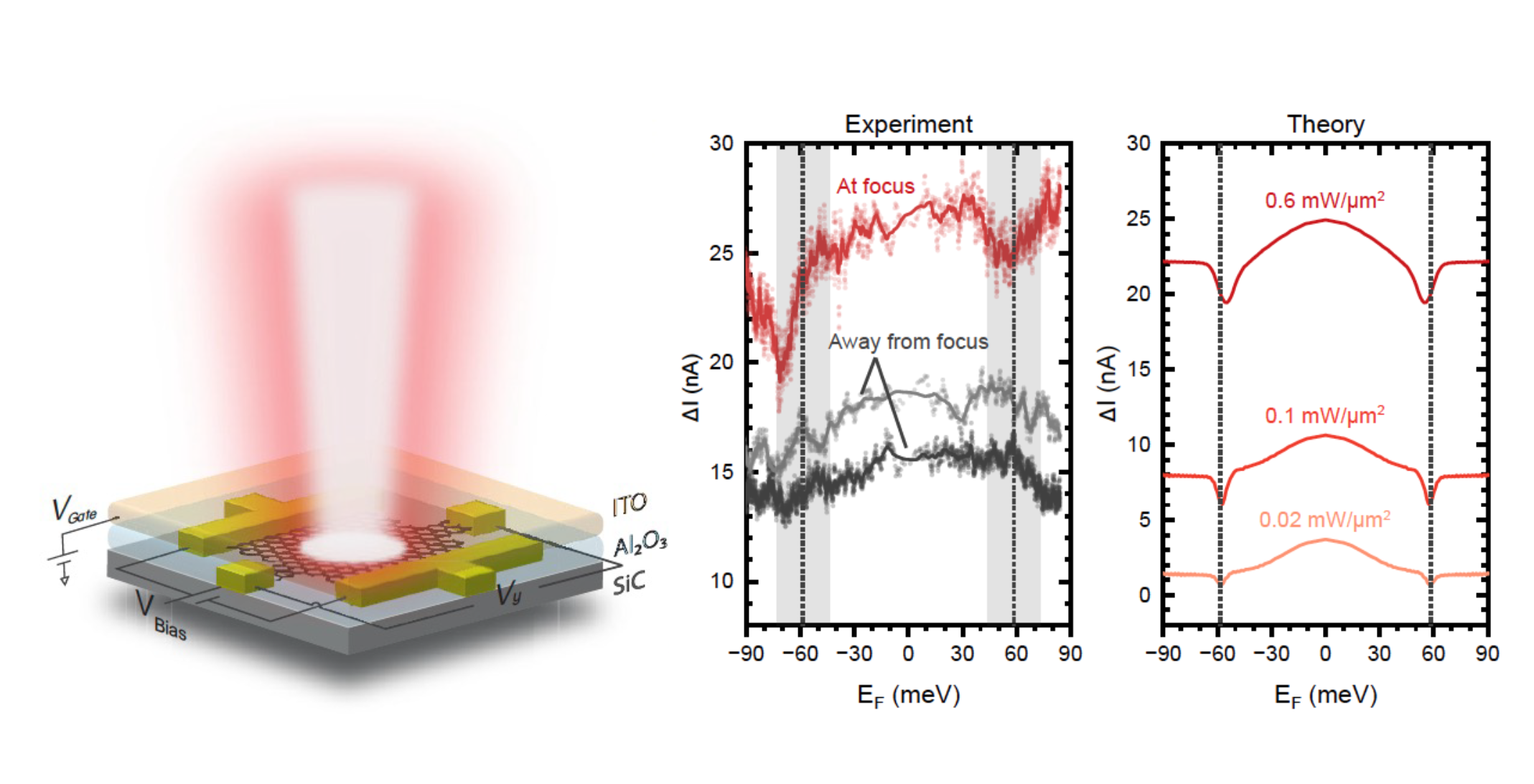 Creating  steady Floquet states in graphene via mid-infrared irradiation 