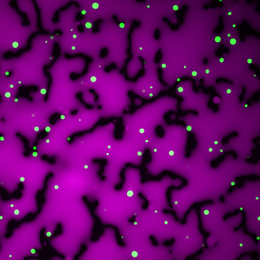 BAR-protein mediated phase separation in driving an endocytic pathway