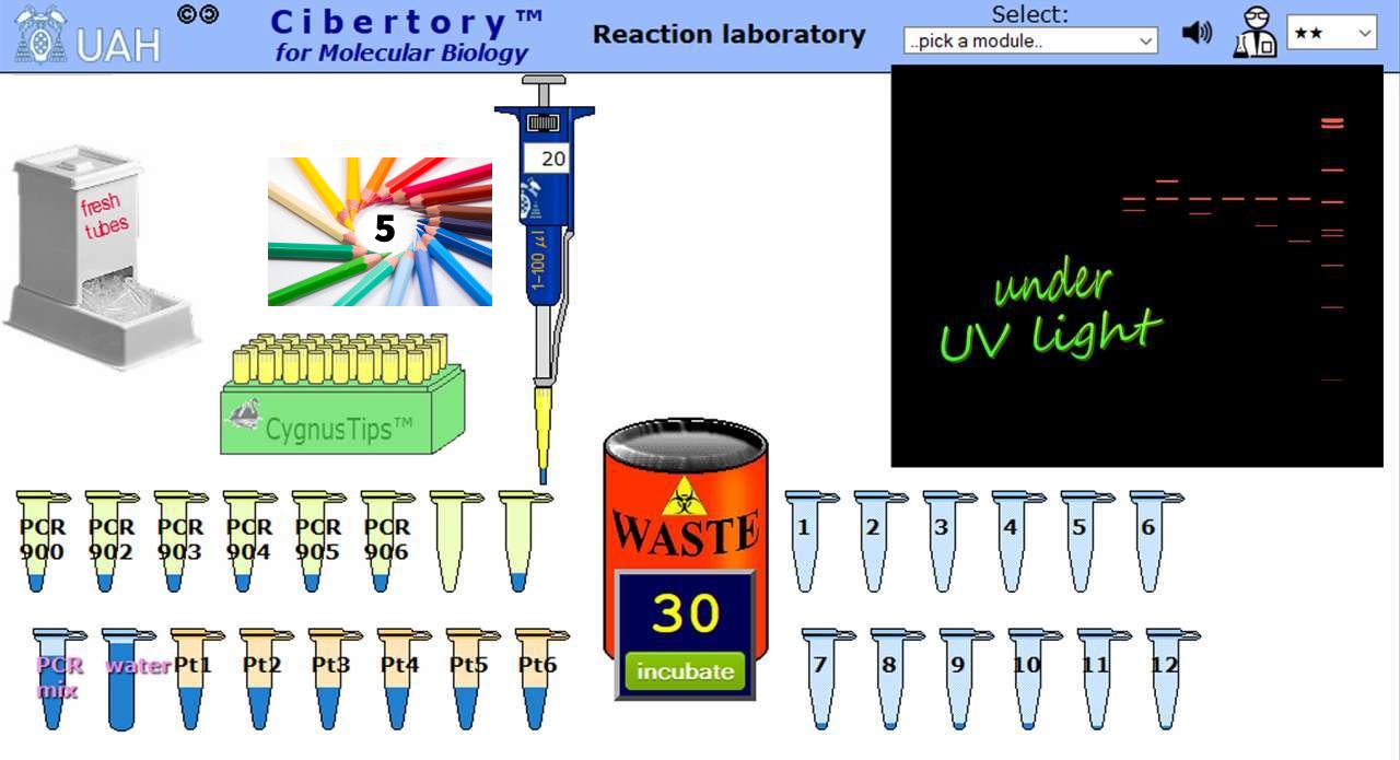 Molecular biology labs without the lab