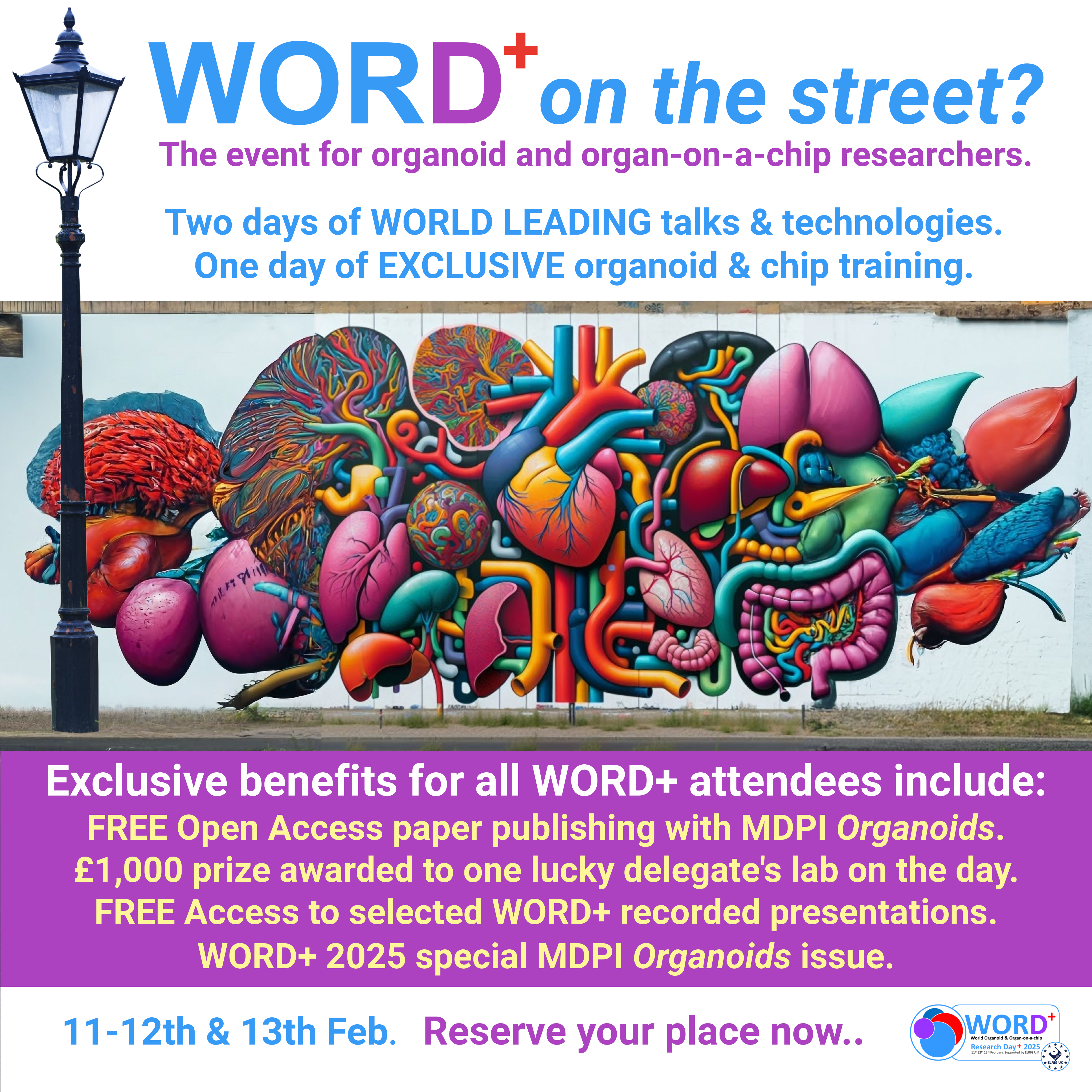 WORD+ on the street?