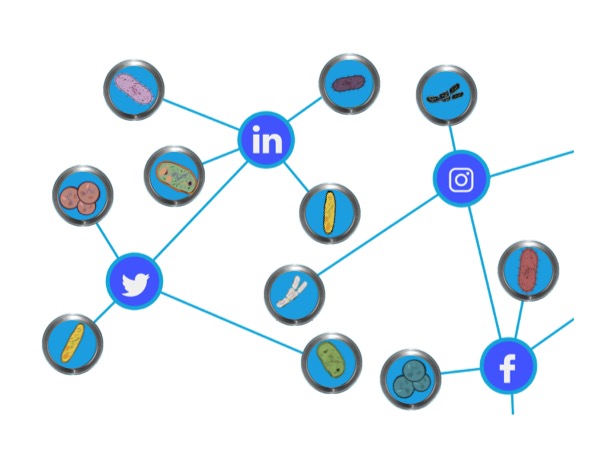The social network of microbes - how interdependencies shape communities