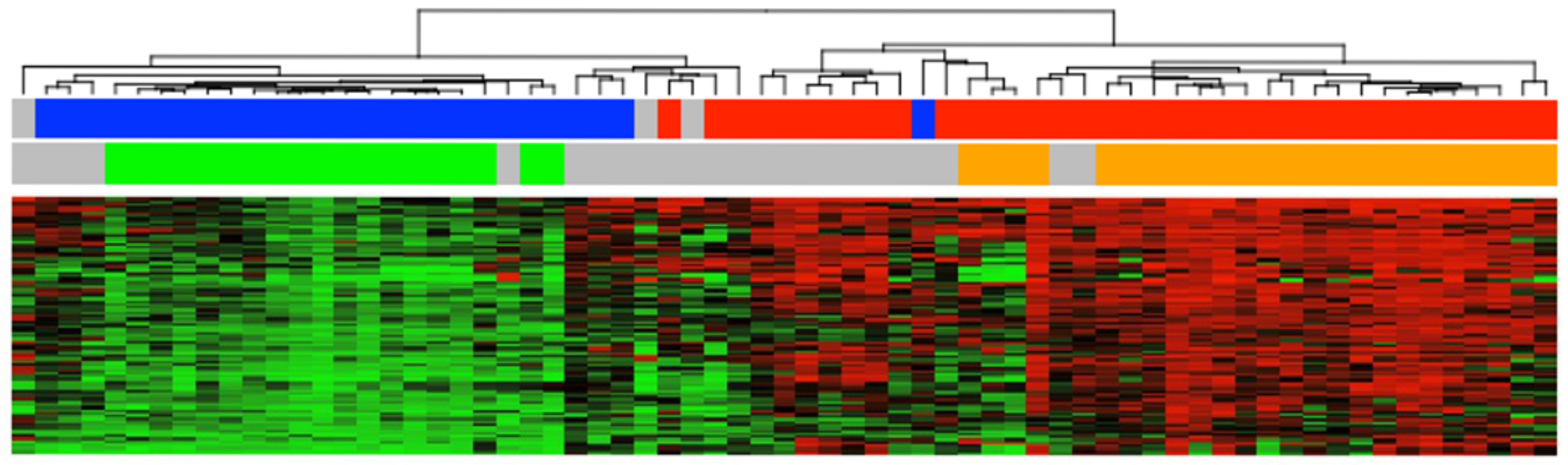 Moving the retinoblastoma aqueous humor liquid biopsy beyond genomics 
