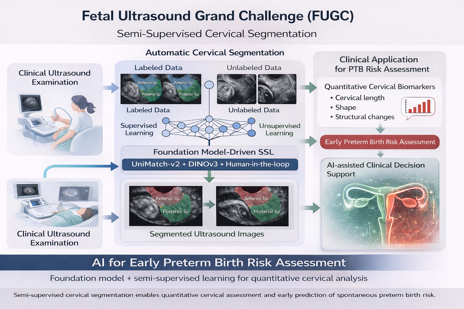 Jieyun Bai's Challenge Paper"FUGC: Benchmarking Semi-Supervised Learning Methods for Cervical Segmentation”