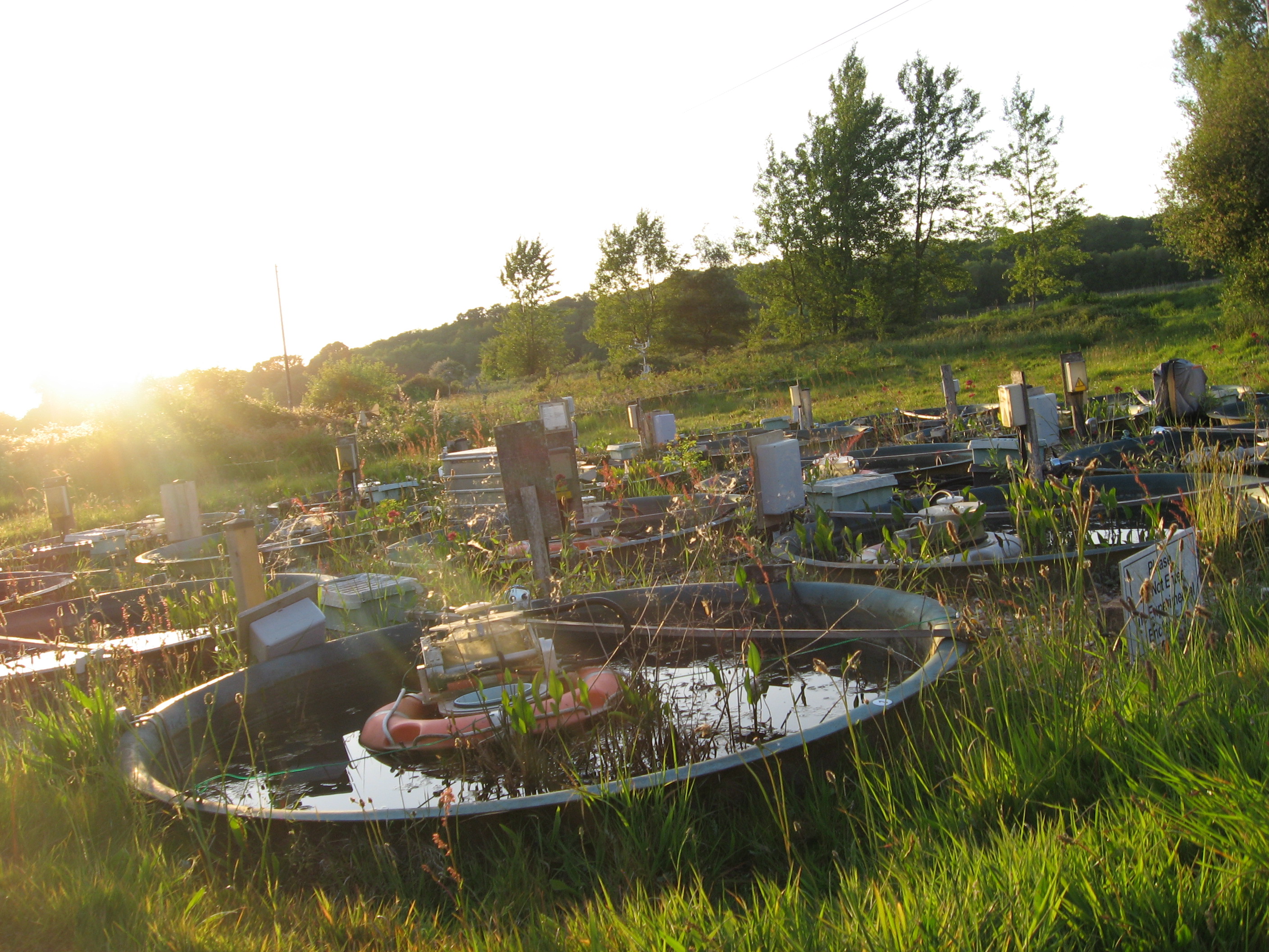 Will freshwater methane production make global warming worse?