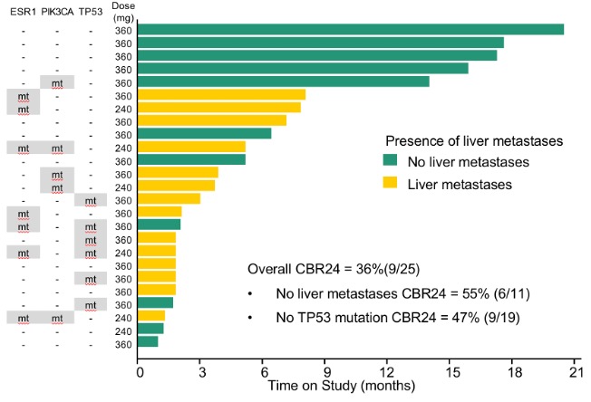 CDK7 Inhibition in Breast Cancer
