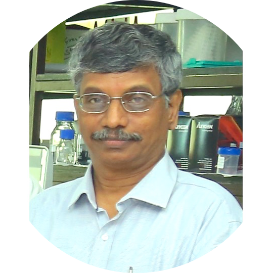 Go to the profile of Thandavarayan Ramamurthy